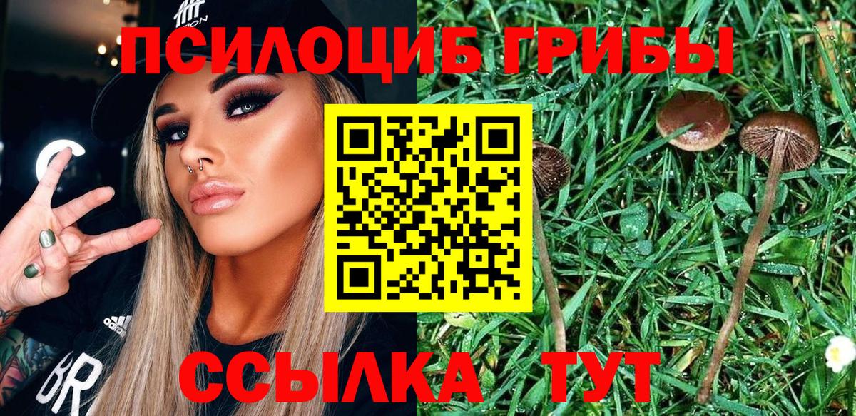Псилоцибиновые грибы прущие грибы  Вход с VPN  Шебекино 