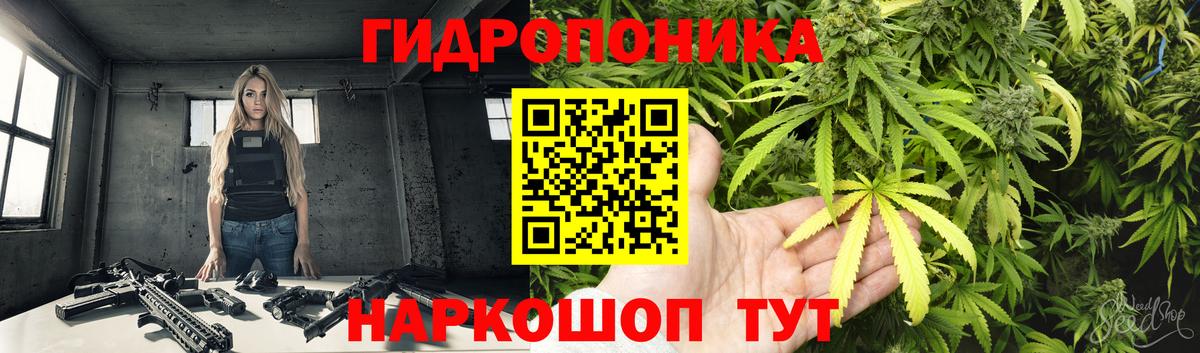 Марихуана SATIVA & INDICA  Вход с VPN  Каннабис планчик  Шебекино 